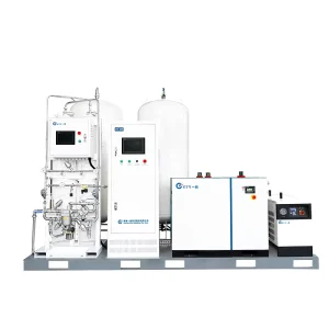 Removable PSA Oxygen Generator with Filling System Type 40 Liter 50 Liter Oxygen Plant Oxygen Fill for Hospitals Small