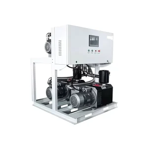 Skid Mounted Medical Vacuum System with Automatic Switching for Hospital Central Vacuum