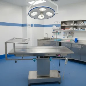 Stainless Steel Electric Veterinary Operation Table Medical Instrument for Veterinary Surgical Procedures