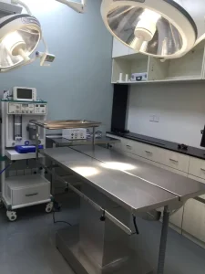 Veterinary Clinic Surgery Table Hydraulic Electric Movable Animal Pet V Shape Operating Table