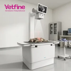 Veterinary DR Digital X ray Imaging Machine Radiography System for Hospital and Clinic