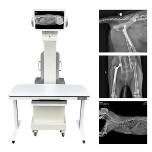 Veterinary Digital Radiography Mobile C arm System Vetoo DX VM 32KW Dynamic DR Rotation Arm Dog X Ray Machine