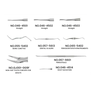 Veterinary Oral Cleaning Surgery Tooth Extraction Tools Stainless Steel Rodent Small Animal Dental Kit for Canine Feline Rabbit