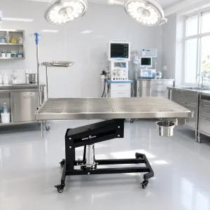 Veterinary Pet Surgery Table 304 Steel Electric Height Adjustable Dog Clinic Use OEM
