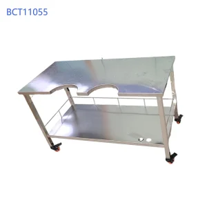 Veterinary Stainless Steel Pet Surgical Table for B mode Ultrasound Examination Vet Operating Table for Dogs