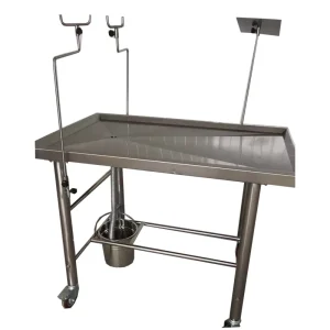 Veterinary Surgical Equipment Animal Surgical Anatomy Table Vet Operating Table