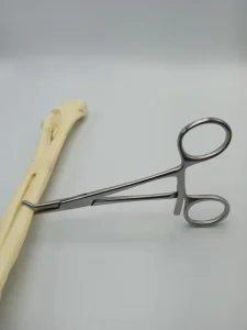 Veterinary Surgical Orthopedic Instruments Mini Bone Holding Reduction Forceps